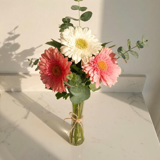Gerberas Blancas y Rosas en Florero – Arreglo Minimalista Elegante para Decoracion