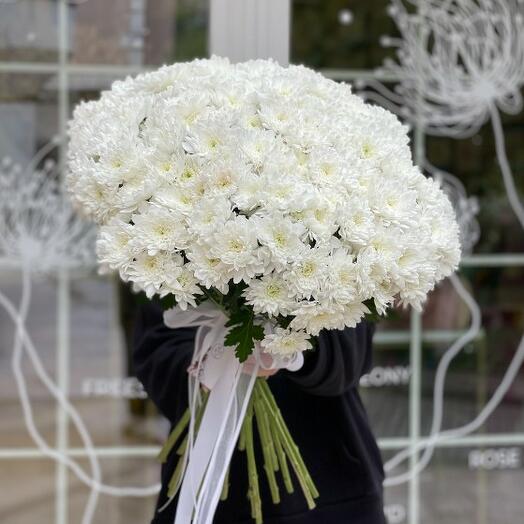 21 белая хризантема