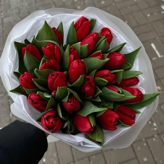 25 red tulips