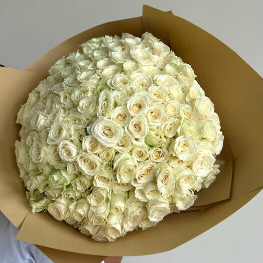 150 White Roses