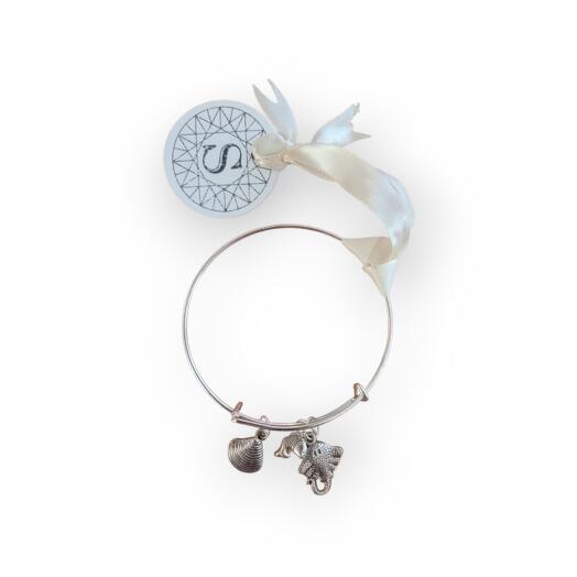 Bracelet with charm silver tone sterchible