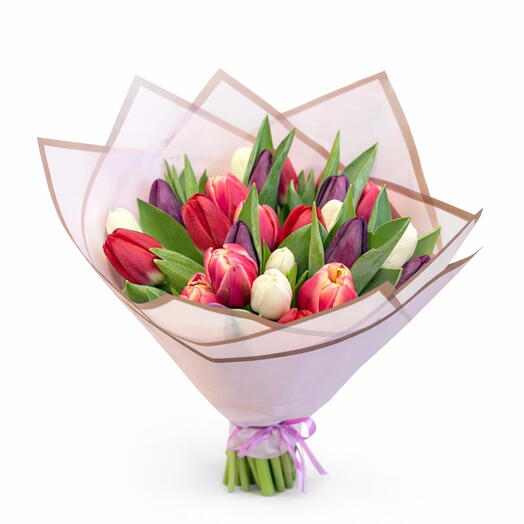 25 Red/purple/white/pink tulips mix