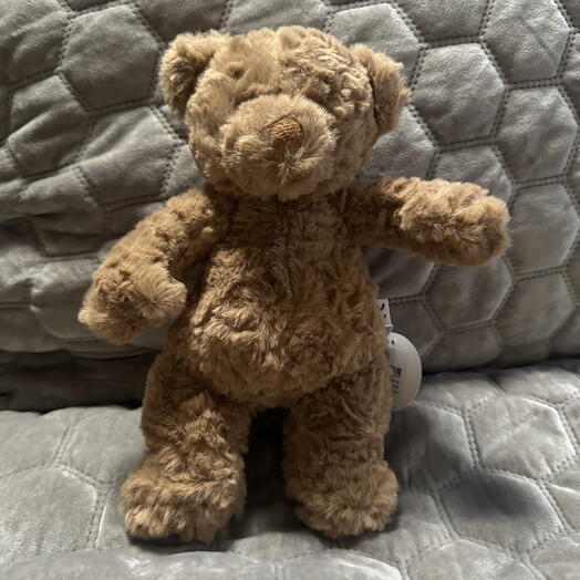 Teddy, Little Roomies