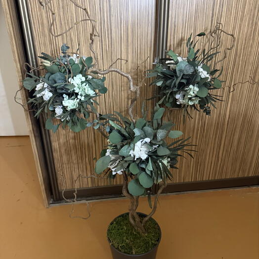 Stabiliseeritud puu eukalipti ja horteensia