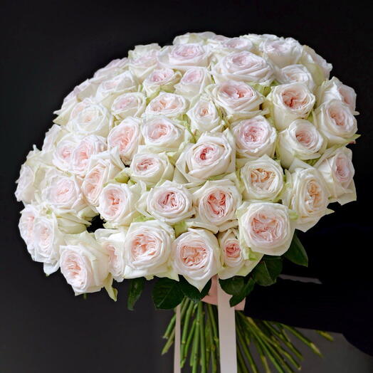 Peony-shaped fragrant roses 55