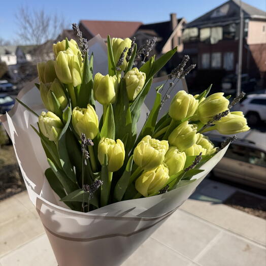 Лайм тюльпандар немесе лаванда