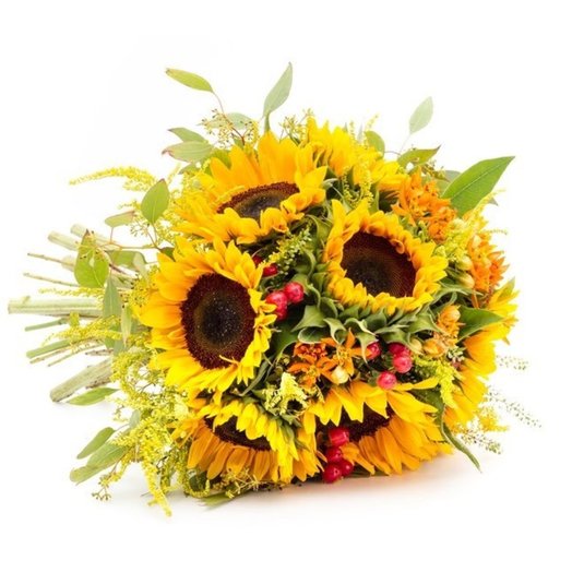 Sunflowers and red berries