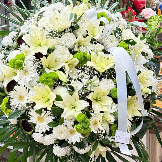 Coroa Verde   Branca