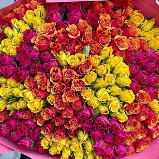 201 Mixed Rosed 50 cm