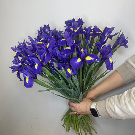 Iris bouquet 50