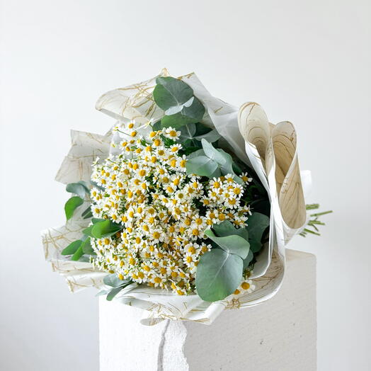 Chamomile daisies with eucalyptus