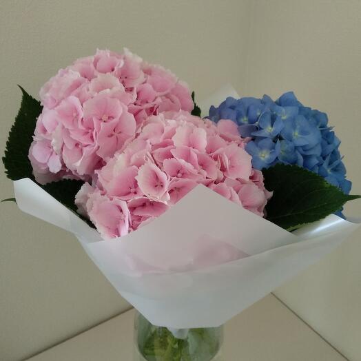 Bouquet of 3 hydrangeas