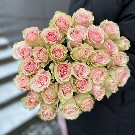 Netherlands  Frutetta 51 pice 🩷