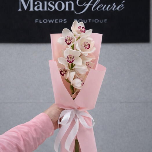 Cymbidium-Orchidee Weiss