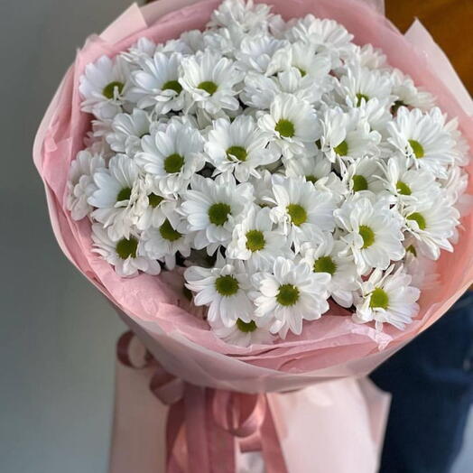 Белая хризантема