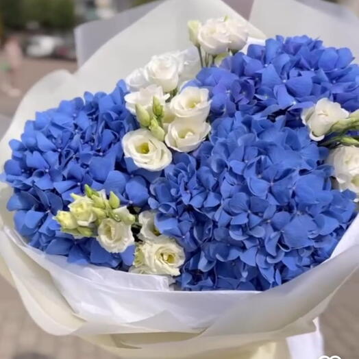 Bukiet z Hortensii Niebieski