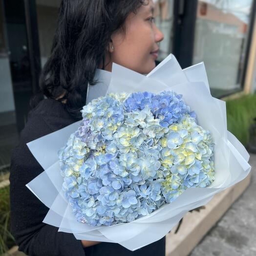 Hydrangea blue mono Small