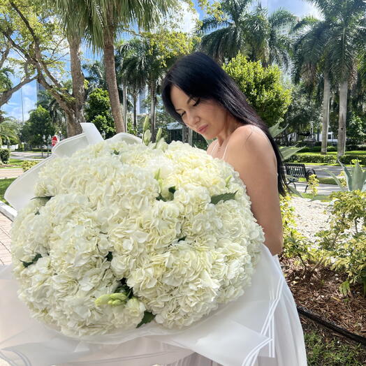 A bouquet of white hydrangeas