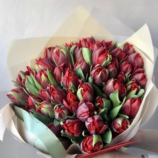 Tulips Passion burgundy or pastel wrapping paper