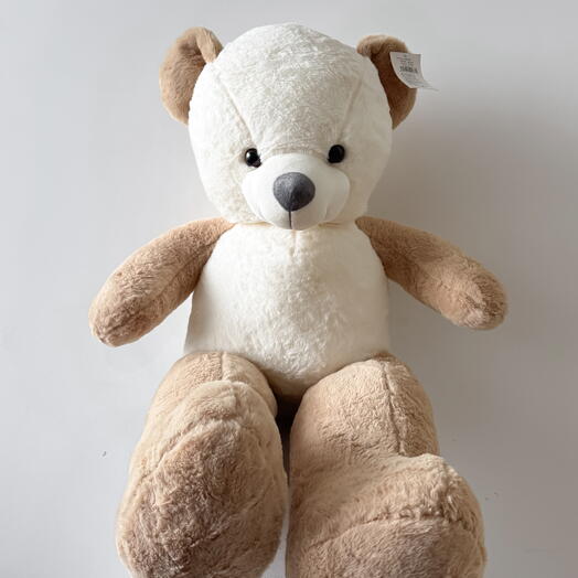 Creme and Beige Tedd Bear 100cm