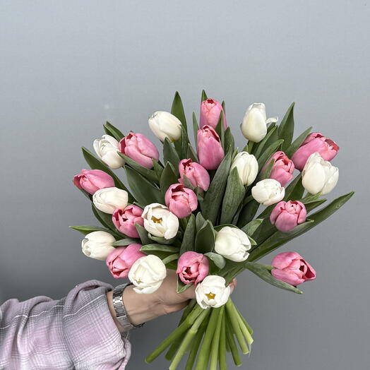 Pink and White Tulips 25 stems