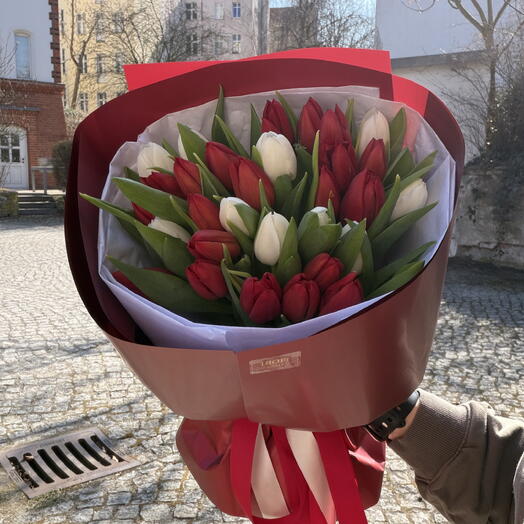 Tulpen rot mit weib