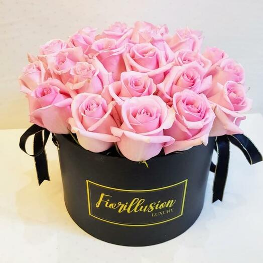 WASHINGTON ROSE ROSA 25