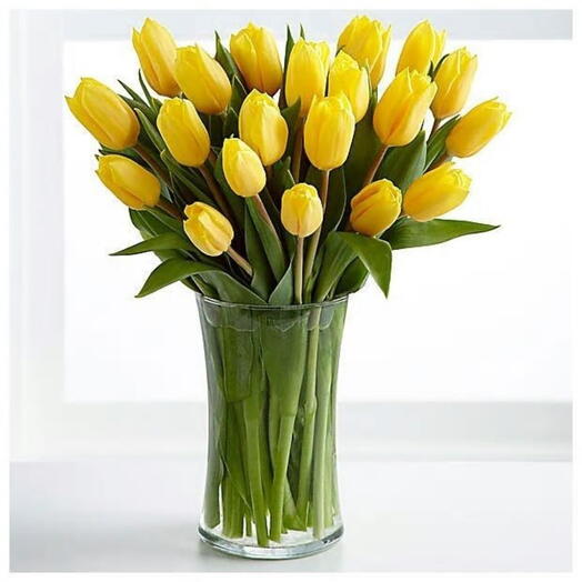 Yello Tulips