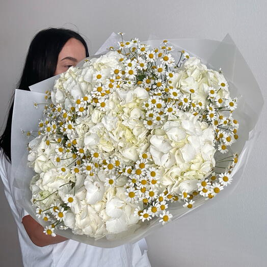 Hortenzie and hermanek