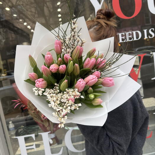 31 pink tulips with Genista