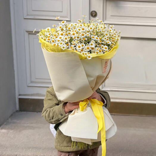 Lightness and Calmness