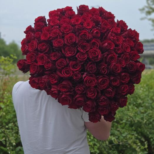 101 red roses 70-80cm