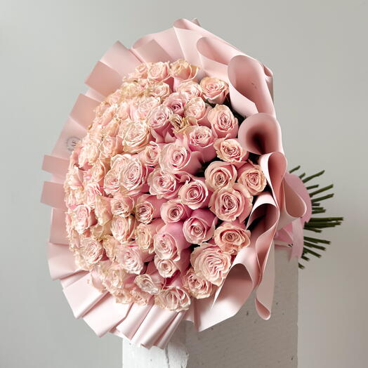 101 light pink roses