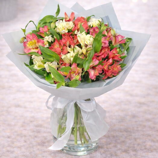 Alstroemeria mix
