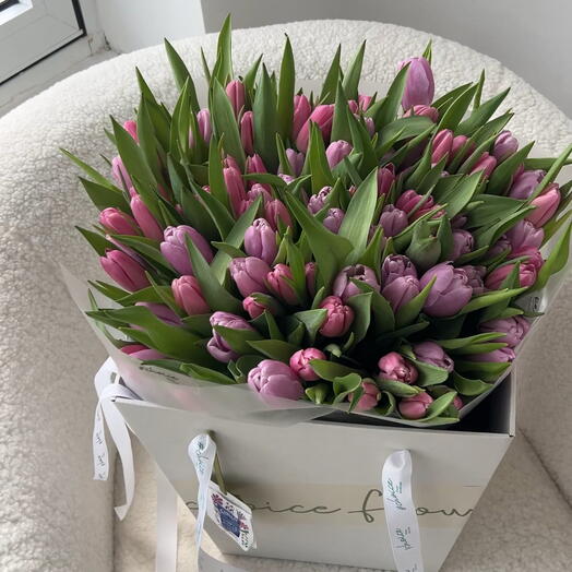 101 tulips pink and lilac