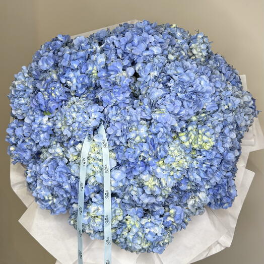 Hydrangea Mono