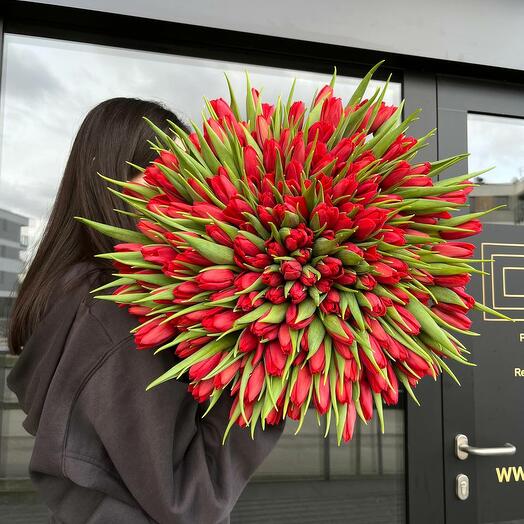 Bouquet di 201 tulipani