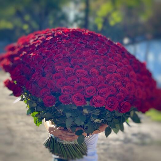 Bouquet of 300 roses 80-85cm Ecuador