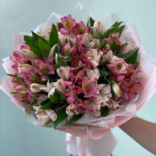 Қызғылт Плуметт