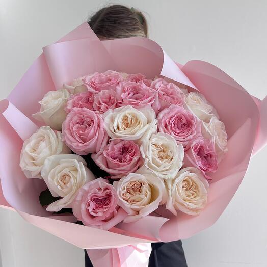 Fragrant garden rose