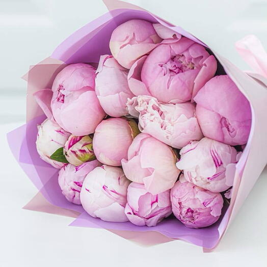 Голландские пионв