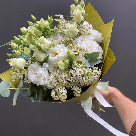 1038 Eustoma delikatna