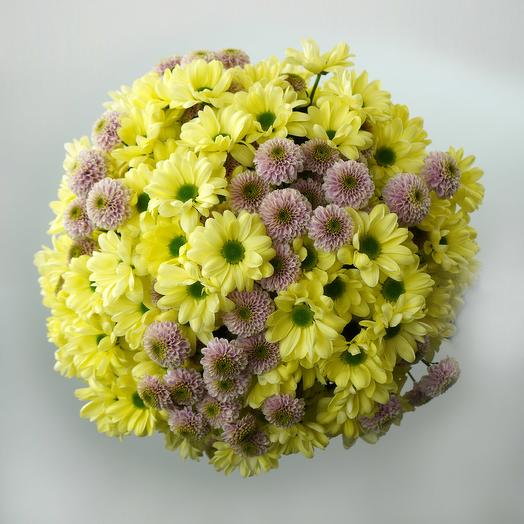 Round bouquet of Daisys