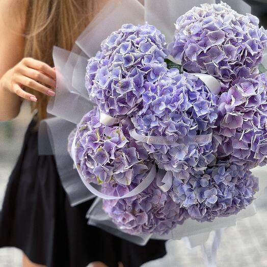 Bouquet of 7 hydrangeas