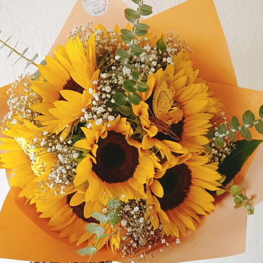 Girasoles