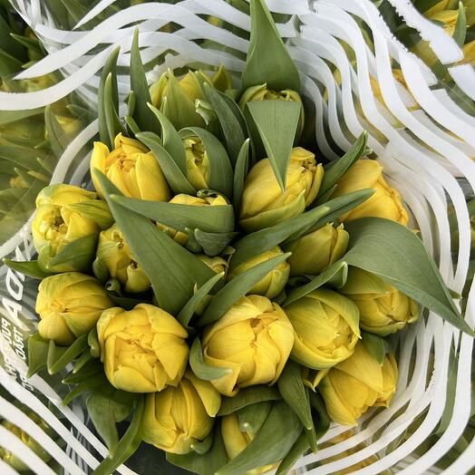 Tulppaani keltaiset (21kpl)