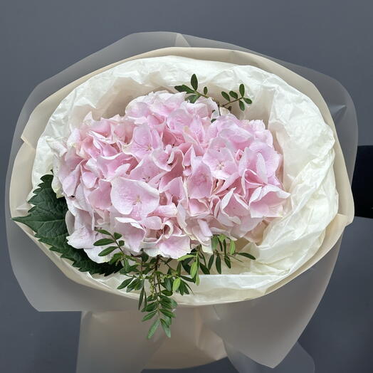 Моно букет из Гортензии