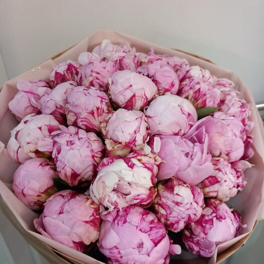 Paeonia bouqet