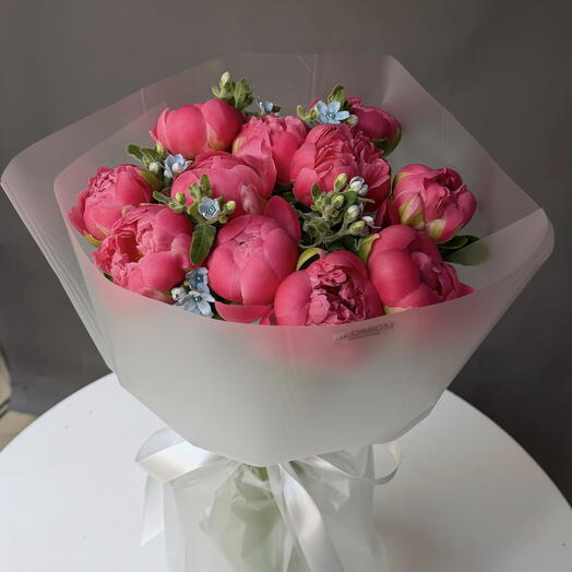 Koralowa Piwonia + oxy