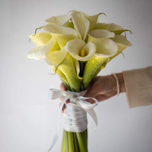 Bidermajer "Crisp Cotton"